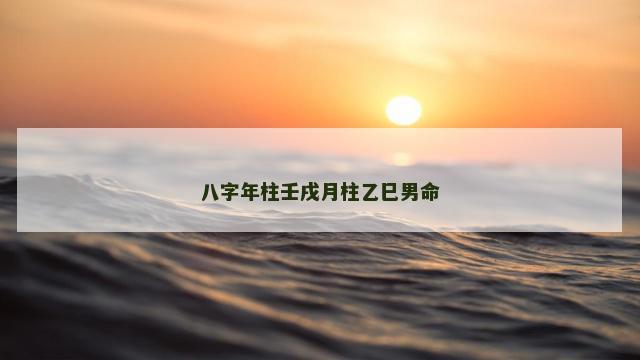 八字年柱壬戌月柱乙巳男命