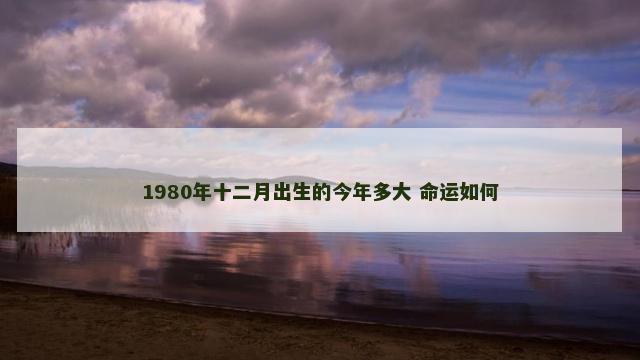 1980年十二月出生的今年多大 命运如何