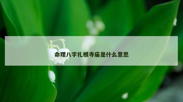 命理八字扎根寺庙是什么意思 命理八字扎根寺庙是什么意思