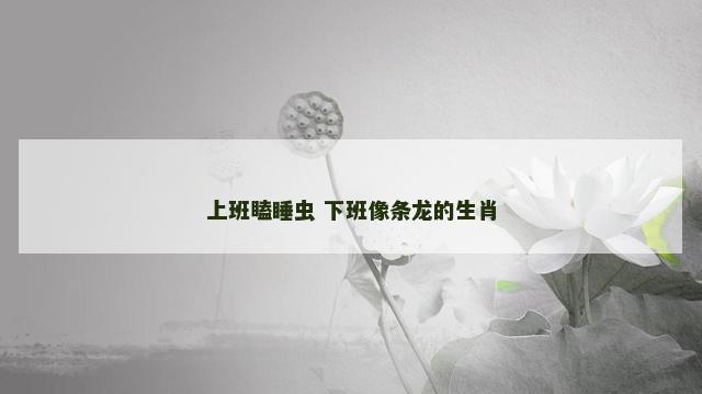上班瞌睡虫 下班像条龙的生肖
