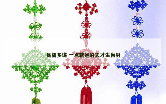 足智多谋 一点就通的天才生肖男