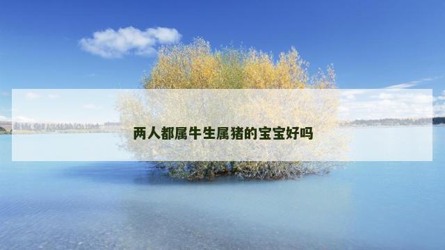 两人都属牛生属猪的宝宝好吗 两人都属牛生属猪的宝宝好吗