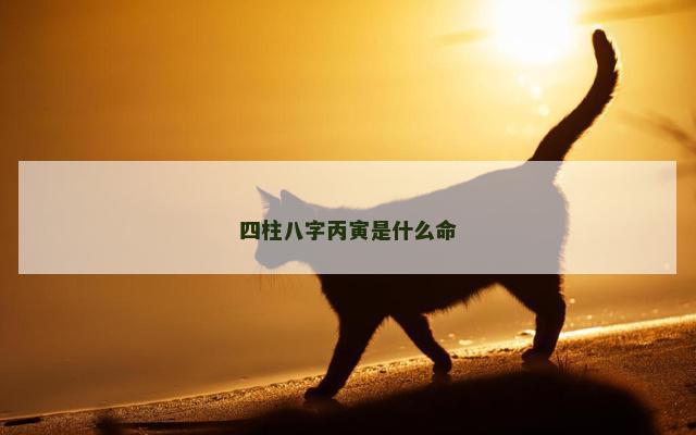 四柱八字丙寅是什么命