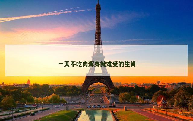 一天不吃肉浑身就难受的生肖