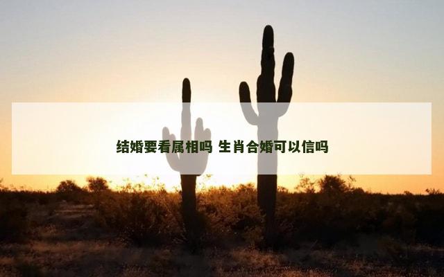 结婚要看属相吗 生肖合婚可以信吗 结婚要看属相吗 生肖合婚可以信吗