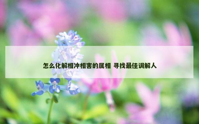 怎么化解相冲相害的属相 寻找最佳调解人