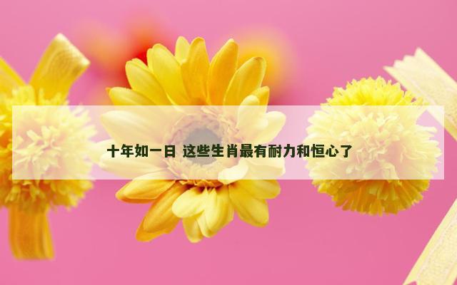 十年如一日 这些生肖最有耐力和恒心了