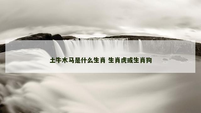 土牛木马是什么生肖 生肖虎或生肖狗 土牛木马是什么生肖 生肖虎或生肖狗