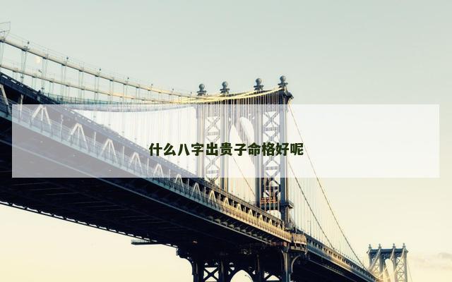 什么八字出贵子命格好呢