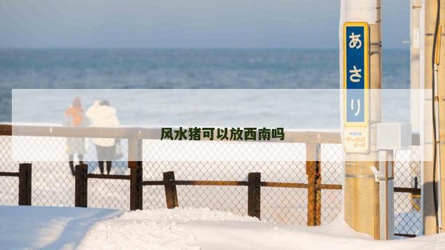 风水猪可以放西南吗