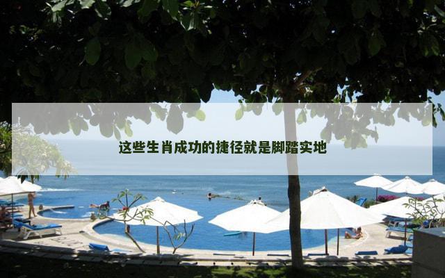 这些生肖成功的捷径就是脚踏实地