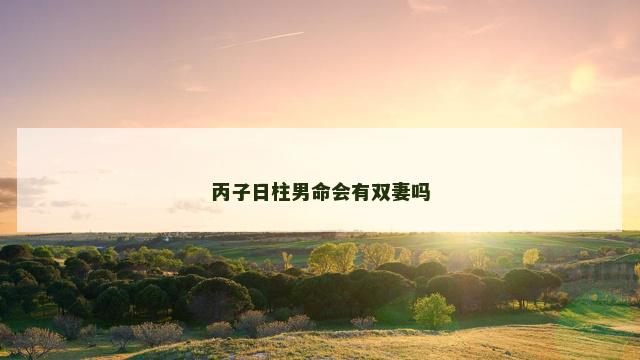 丙子日柱男命会有双妻吗