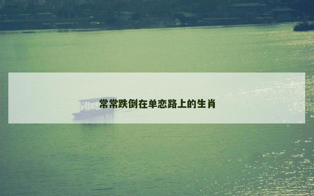 常常跌倒在单恋路上的生肖