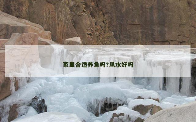 家里合适养鱼吗?风水好吗