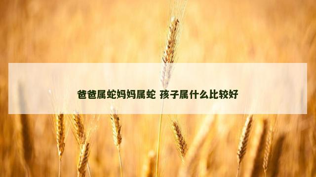 爸爸属蛇妈妈属蛇 孩子属什么比较好