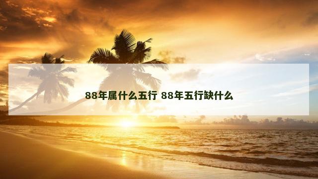 88年属什么五行 88年五行缺什么