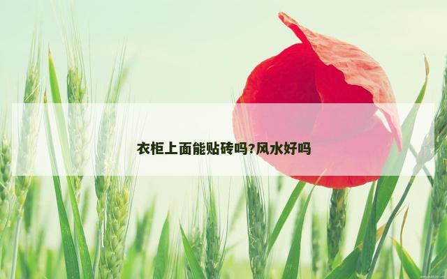 衣柜上面能贴砖吗?风水好吗 衣柜上面能贴砖吗?风水好吗
