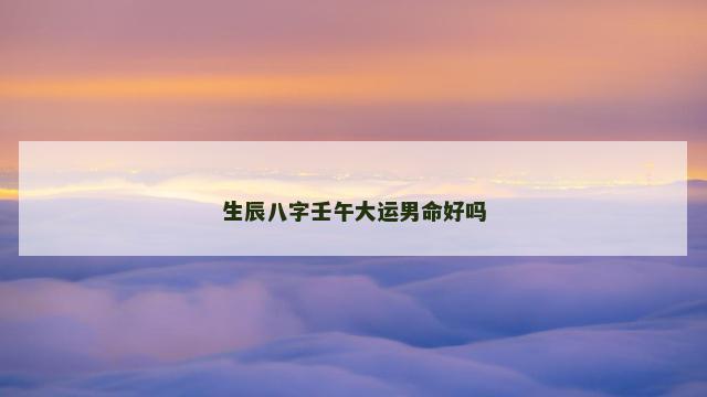 生辰八字壬午大运男命好吗
