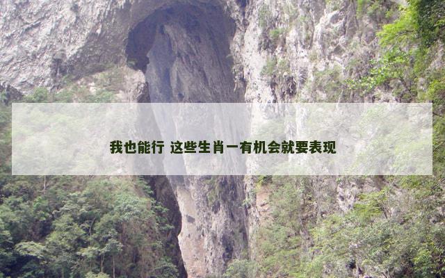 我也能行 这些生肖一有机会就要表现