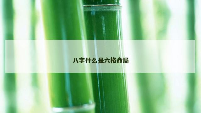 八字什么是六格命局