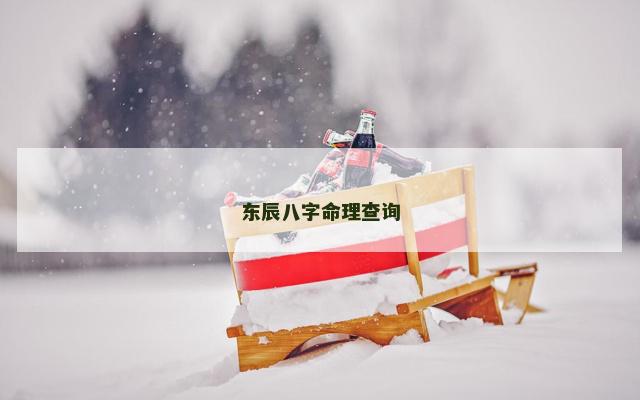 东辰八字命理查询