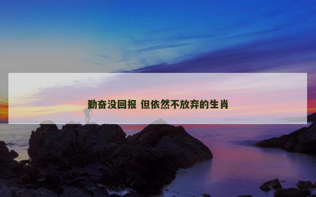 勤奋没回报 但依然不放弃的生肖