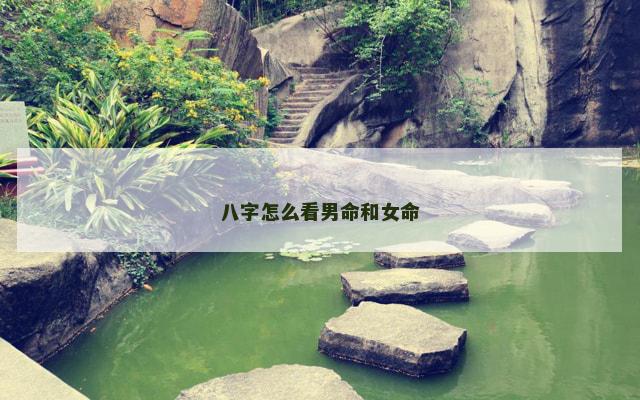 八字怎么看男命和女命