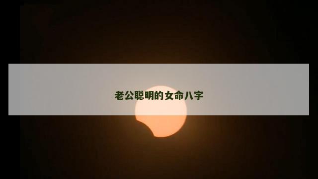 老公聪明的女命八字