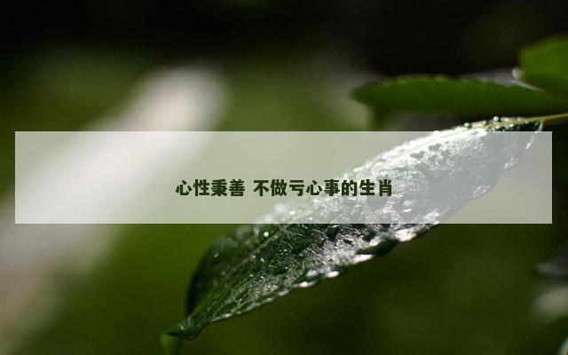 心性秉善 不做亏心事的生肖