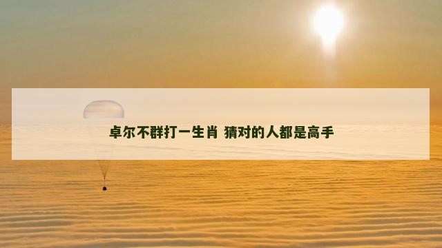 卓尔不群打一生肖 猜对的人都是高手