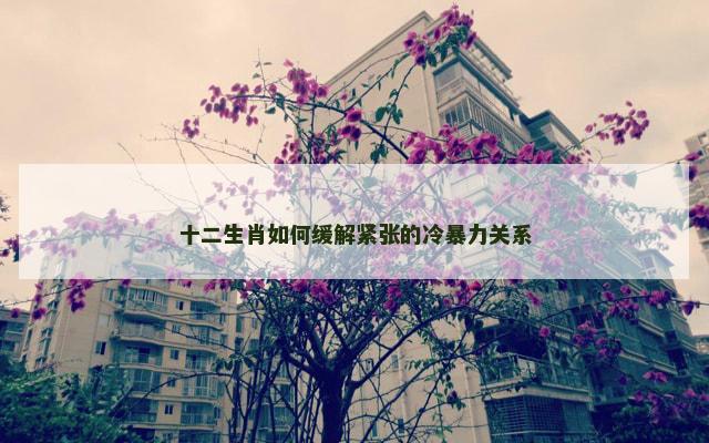 十二生肖如何缓解紧张的冷暴力关系