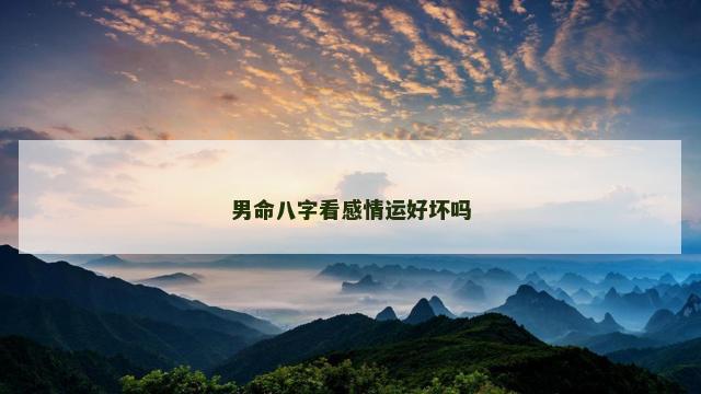 男命八字看感情运好坏吗
