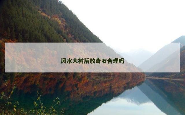 风水大树后放奇石合理吗