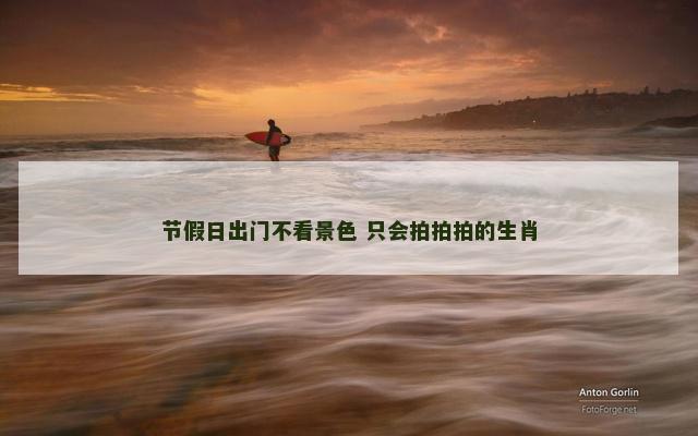 节假日出门不看景色 只会拍拍拍的生肖