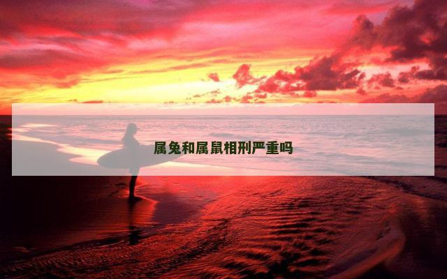 属兔和属鼠相刑严重吗