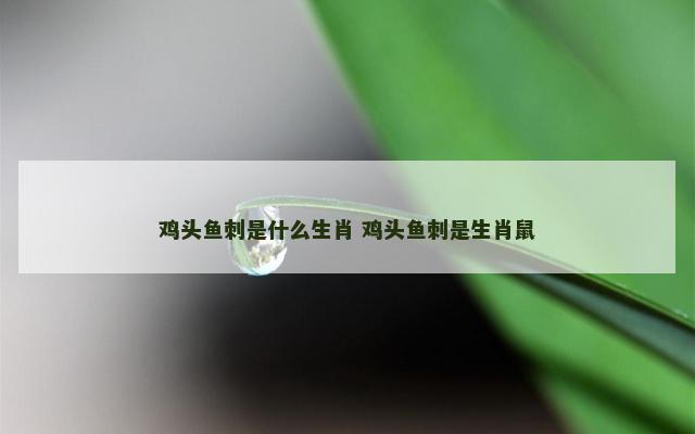 鸡头鱼刺是什么生肖 鸡头鱼刺是生肖鼠
