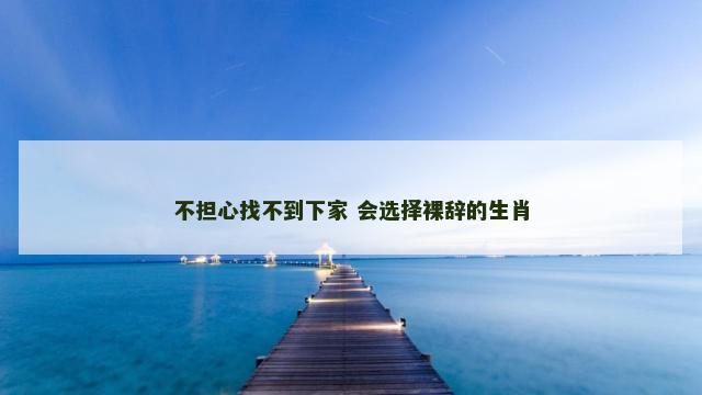 不担心找不到下家 会选择裸辞的生肖