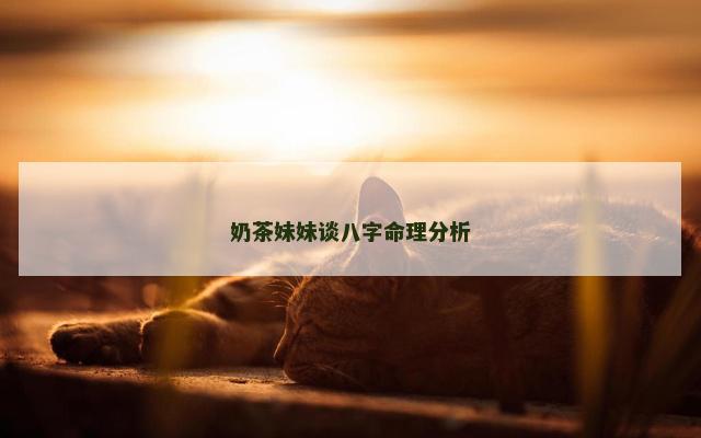 奶茶妹妹谈八字命理分析