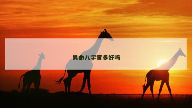 男命八字官多好吗