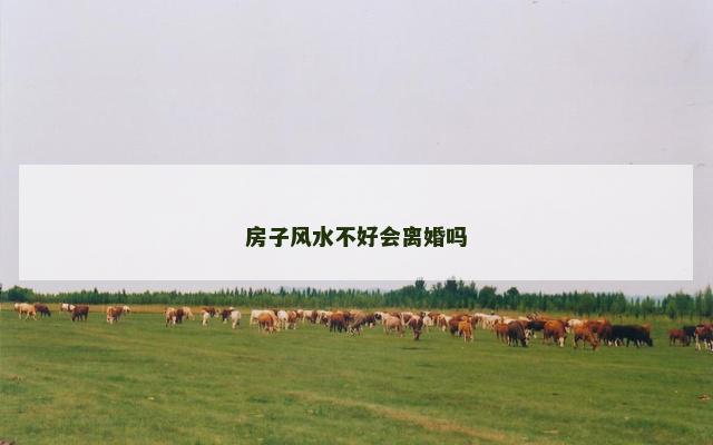 房子风水不好会离婚吗