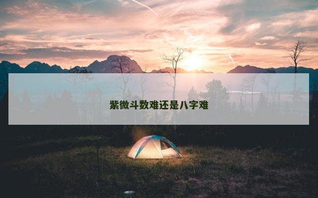 紫微斗数难还是八字难
