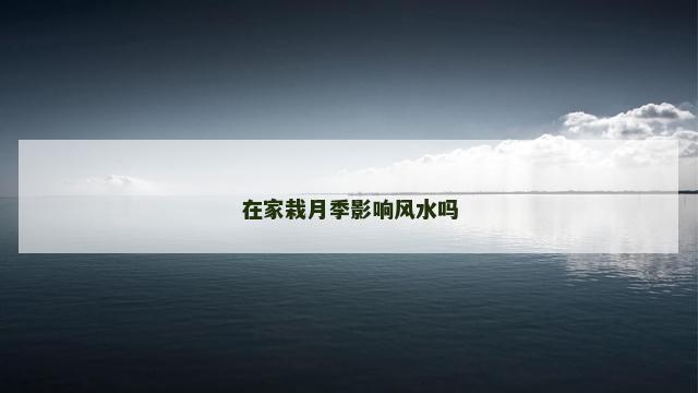 在家栽月季影响风水吗