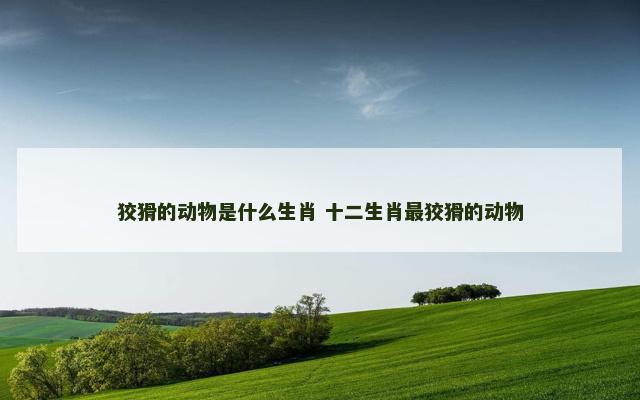 狡猾的动物是什么生肖 十二生肖最狡猾的动物