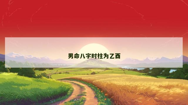 男命八字时柱为乙酉