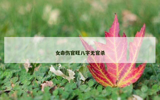 女命伤官旺八字无官杀