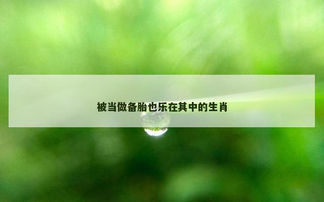 被当做备胎也乐在其中的生肖