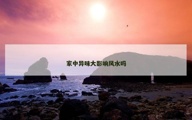 家中异味大影响风水吗