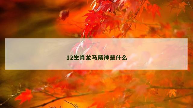 12生肖龙马精神是什么