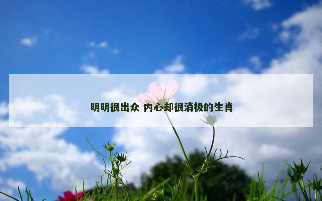 明明很出众 内心却很消极的生肖 明明很出众 内心却很消极的生肖