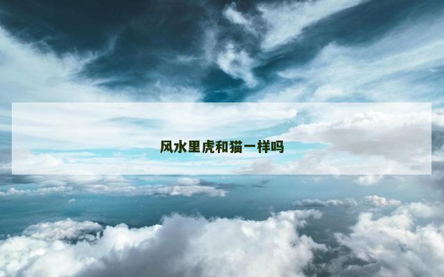 风水里虎和猫一样吗 风水里虎和猫一样吗